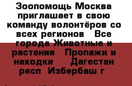 Зоопомощь.Москва приглашает в свою команду волонтёров со всех регионов - Все города Животные и растения » Пропажи и находки   . Дагестан респ.,Избербаш г.